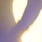 Fête de la musique 28