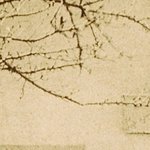 Le Café Restaurant du Commerce 1