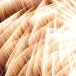 Fête de la musique 49