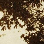 La Pension Des Voirons 5