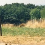 Monument des Bois Davaud 3