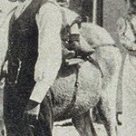 L'Hôtel de Montauban 18